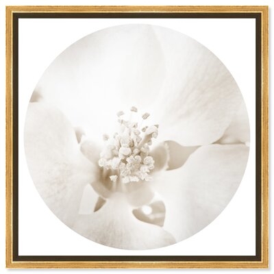 'Floral And Botanical Orchid Love Circle Florals' Framed Canvas Art - Image 0