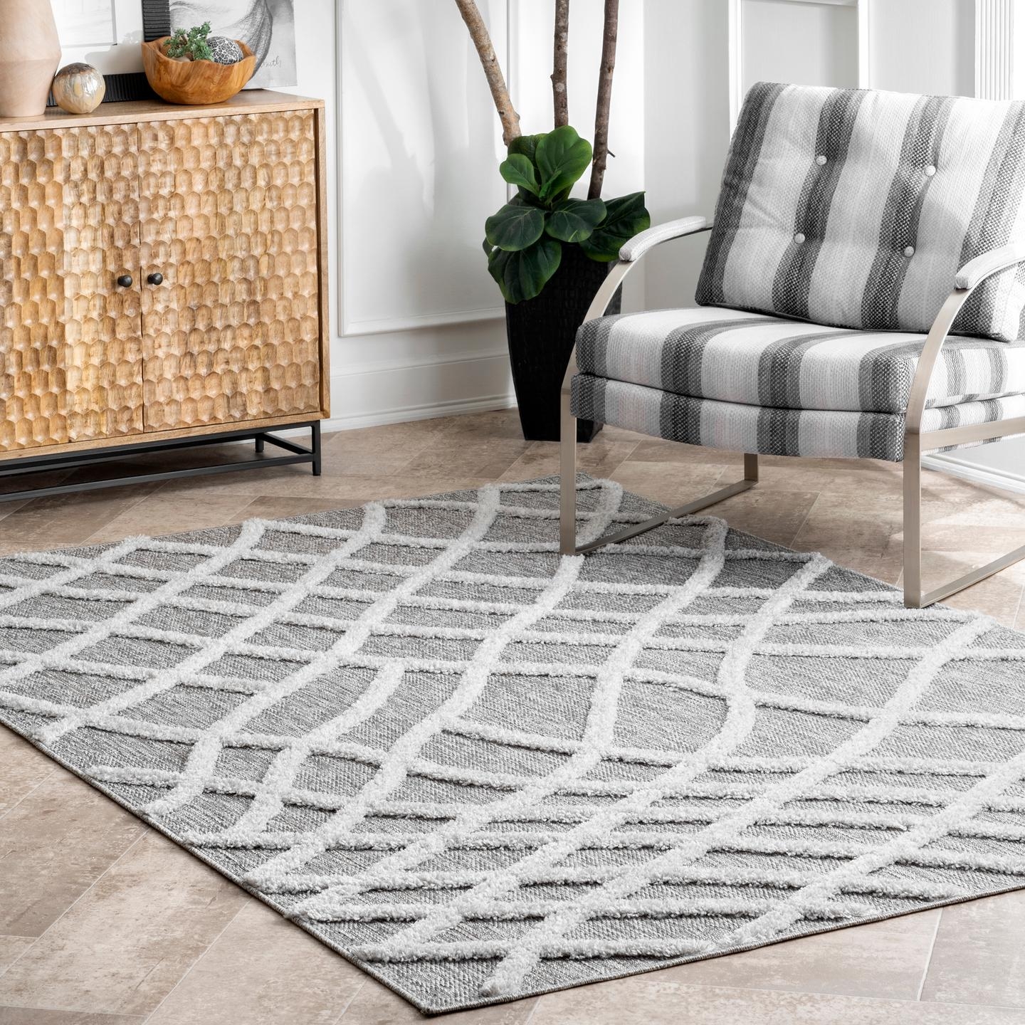 Carly Raised Fishnet Trellis Area Rug - Image 0