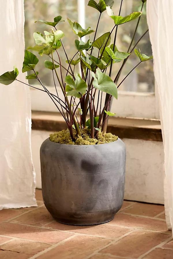 Luca Rounded Planter - Image 0