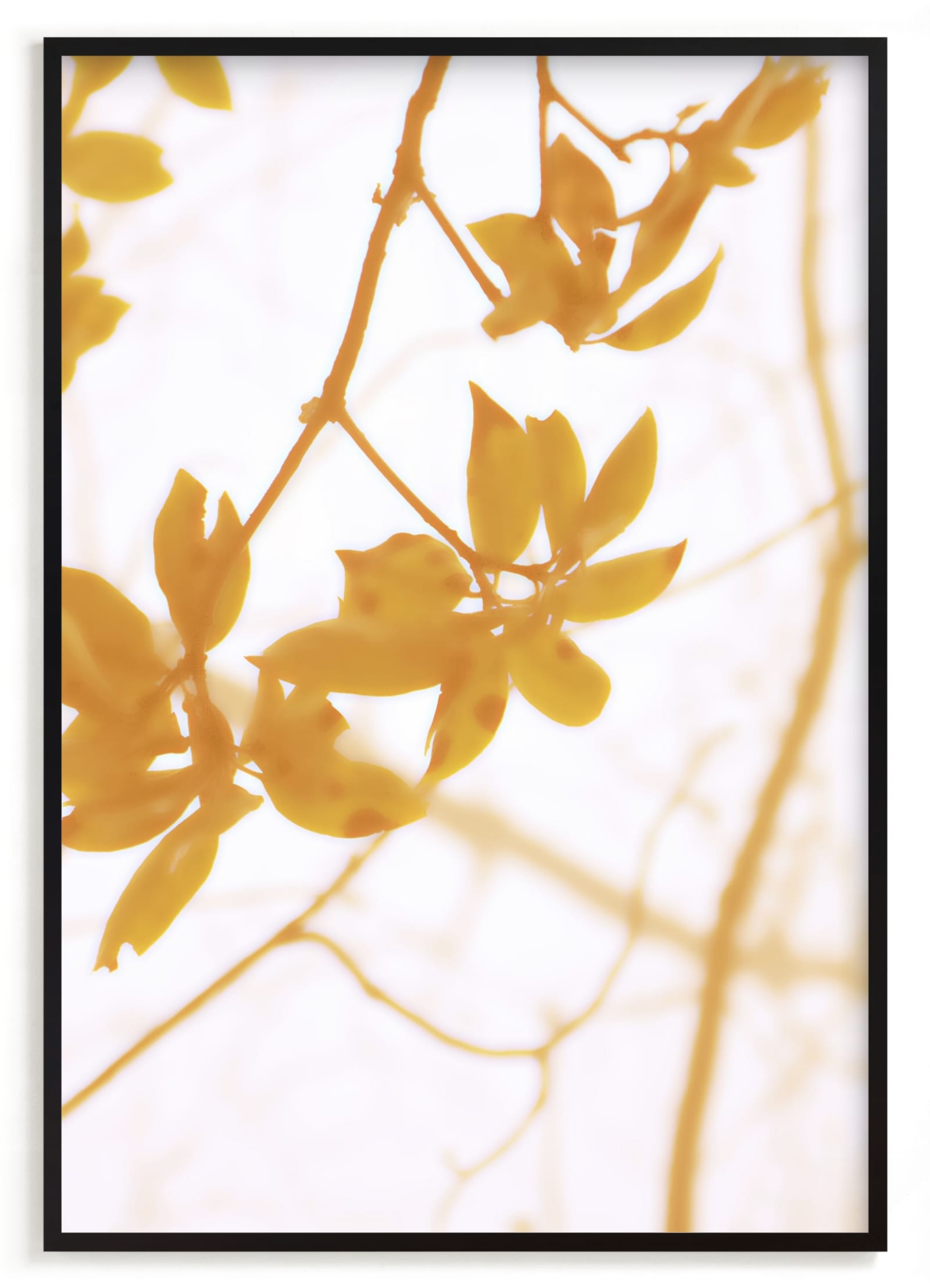 Morning I Limited Edition Fine Art Print 2 - Image 0