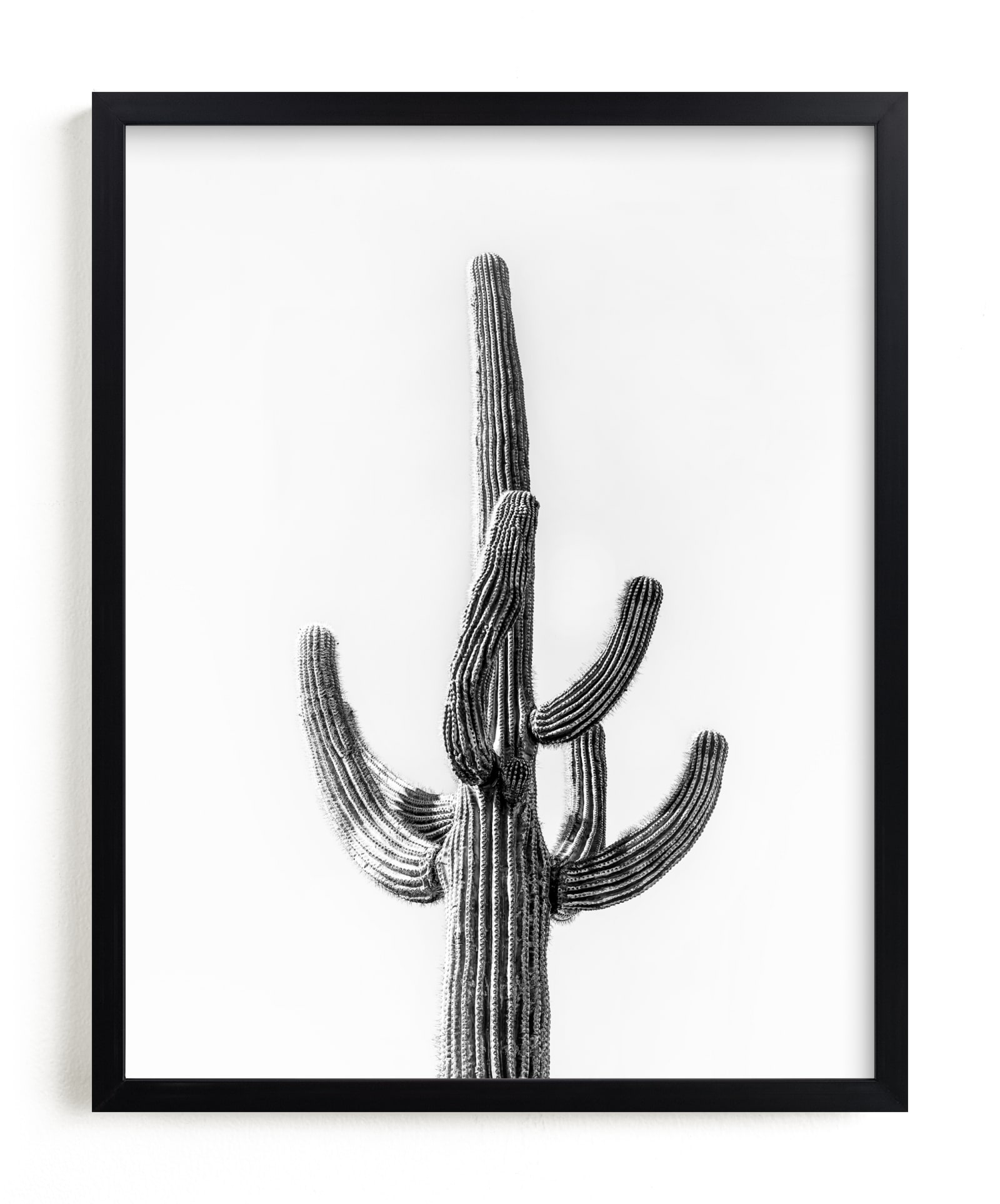Lone Cactus Limited Edition Fine Art Print 2 - Image 0