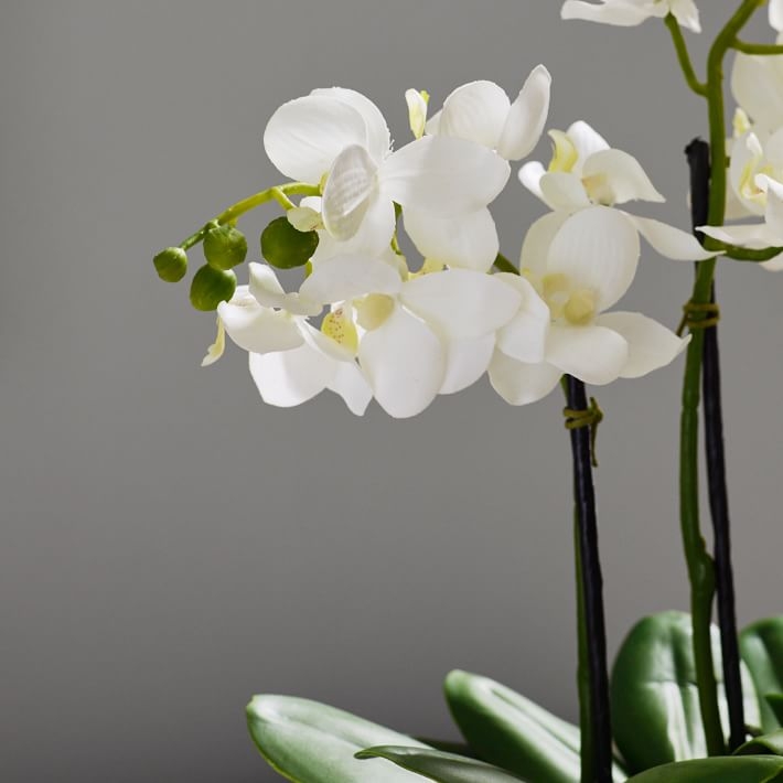 Faux Potted Orchid Arrangement - Image 2
