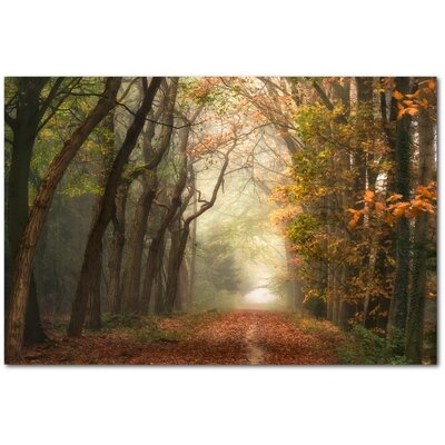 Walk in the Woods - Wrapped Canvas Photograph Print - Image 0