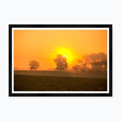 Meadow Sunrise Iv - Image 0