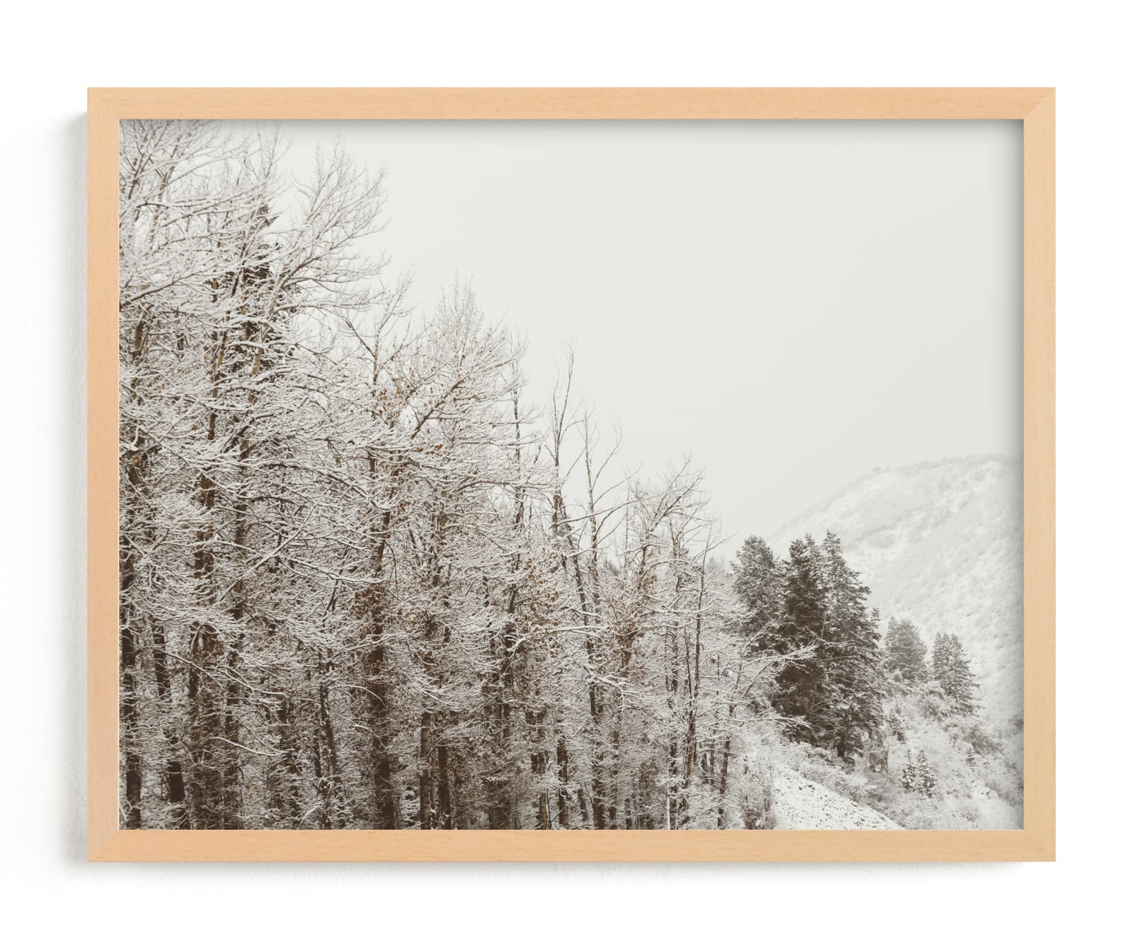 Argentum Pair I Limited Edition Fine Art Print 2 - Image 0