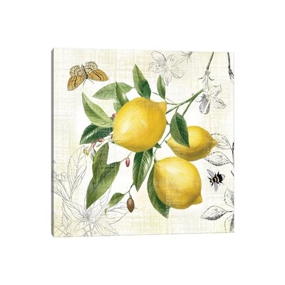 Linen Lemons II by Nan - Wrapped Canvas Graphic Art Print - Image 0