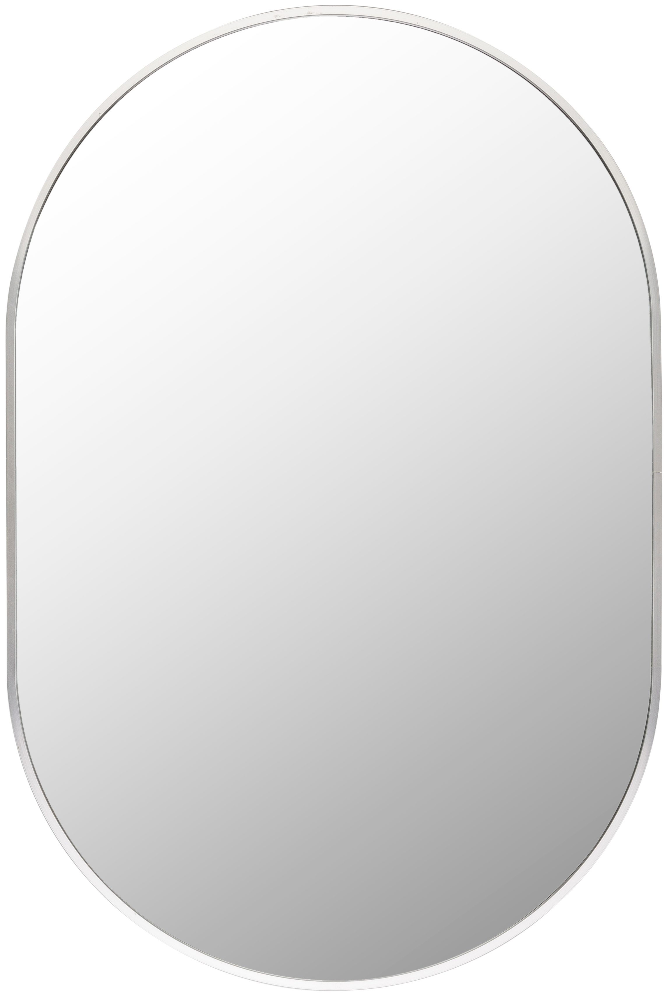 Aranya Metallic - Silver 30"H x 20"W x 1"D Accent Mirror - Image 0