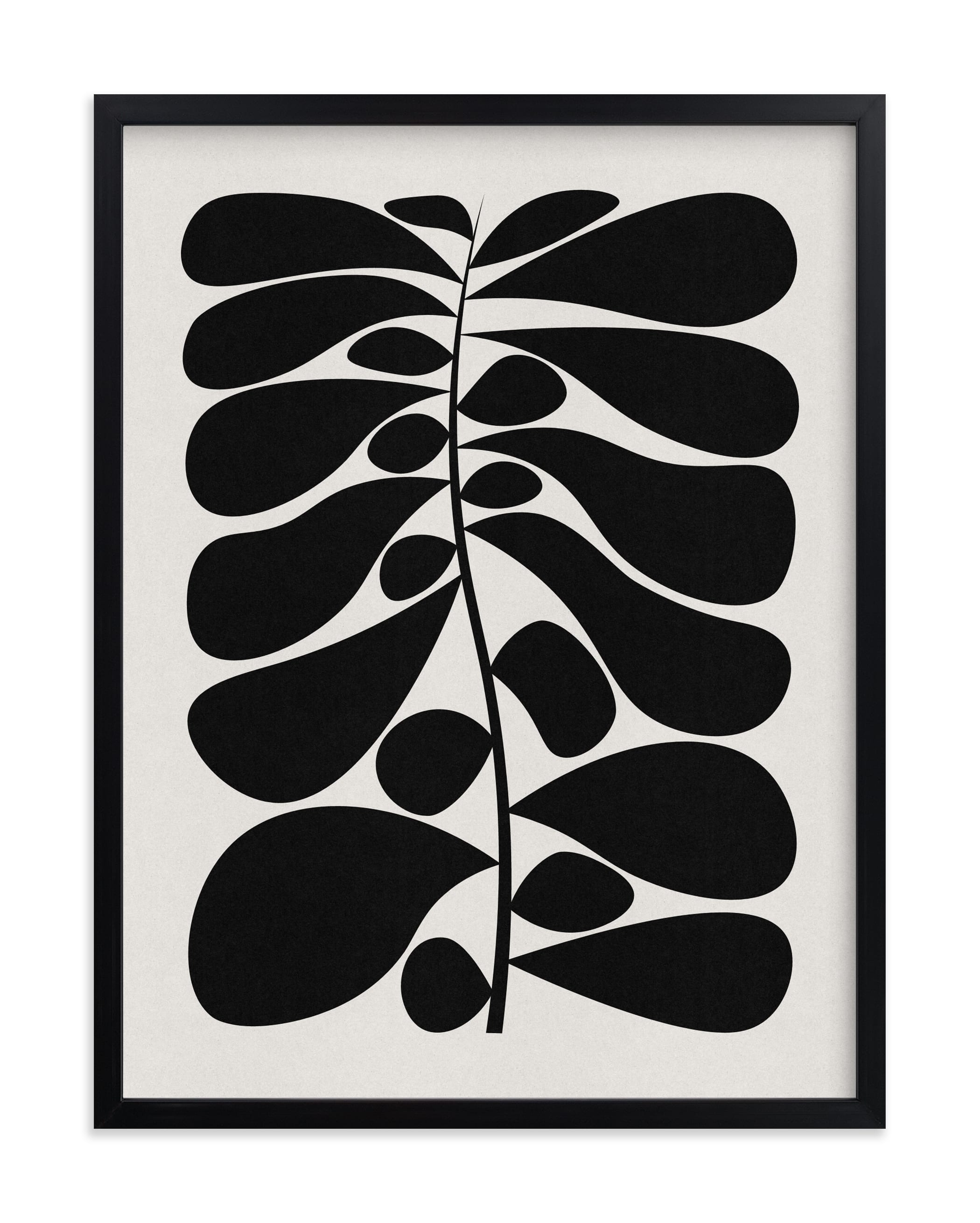 Black Plant I Limited Edition Fine Art Print - Image 0