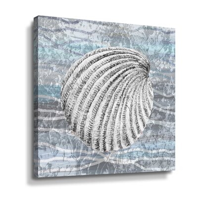 Seashell On Gray Wave Beach House Shell Art Décor II By Irina Sztukowski - Image 0