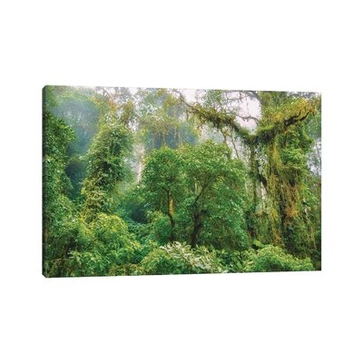 Mountain Jungle by Mark Paulda - Wrapped Canvas Photograph Print - Image 0