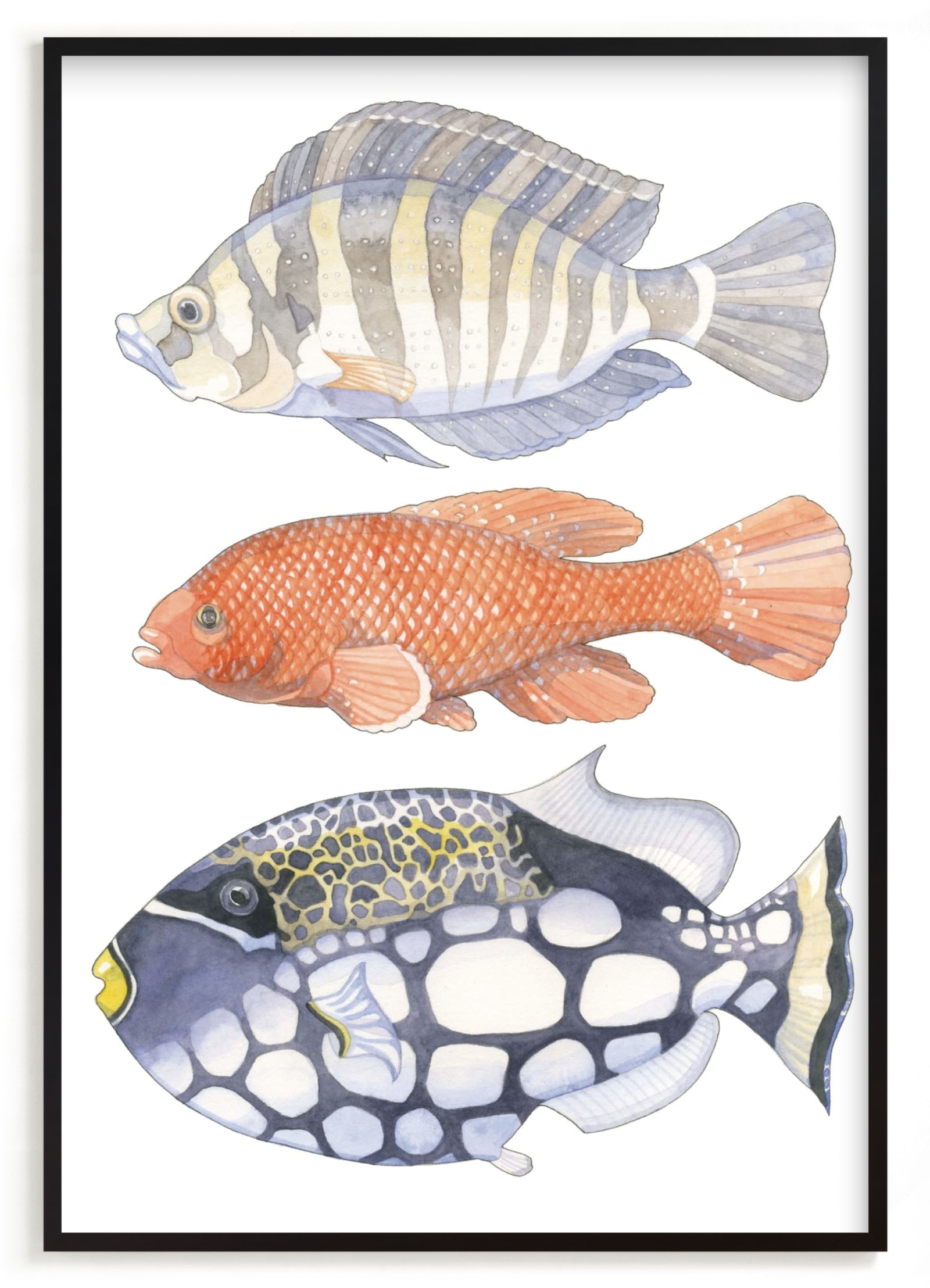 Three Fish Limited Edition Fine Art Print 1 - Image 0