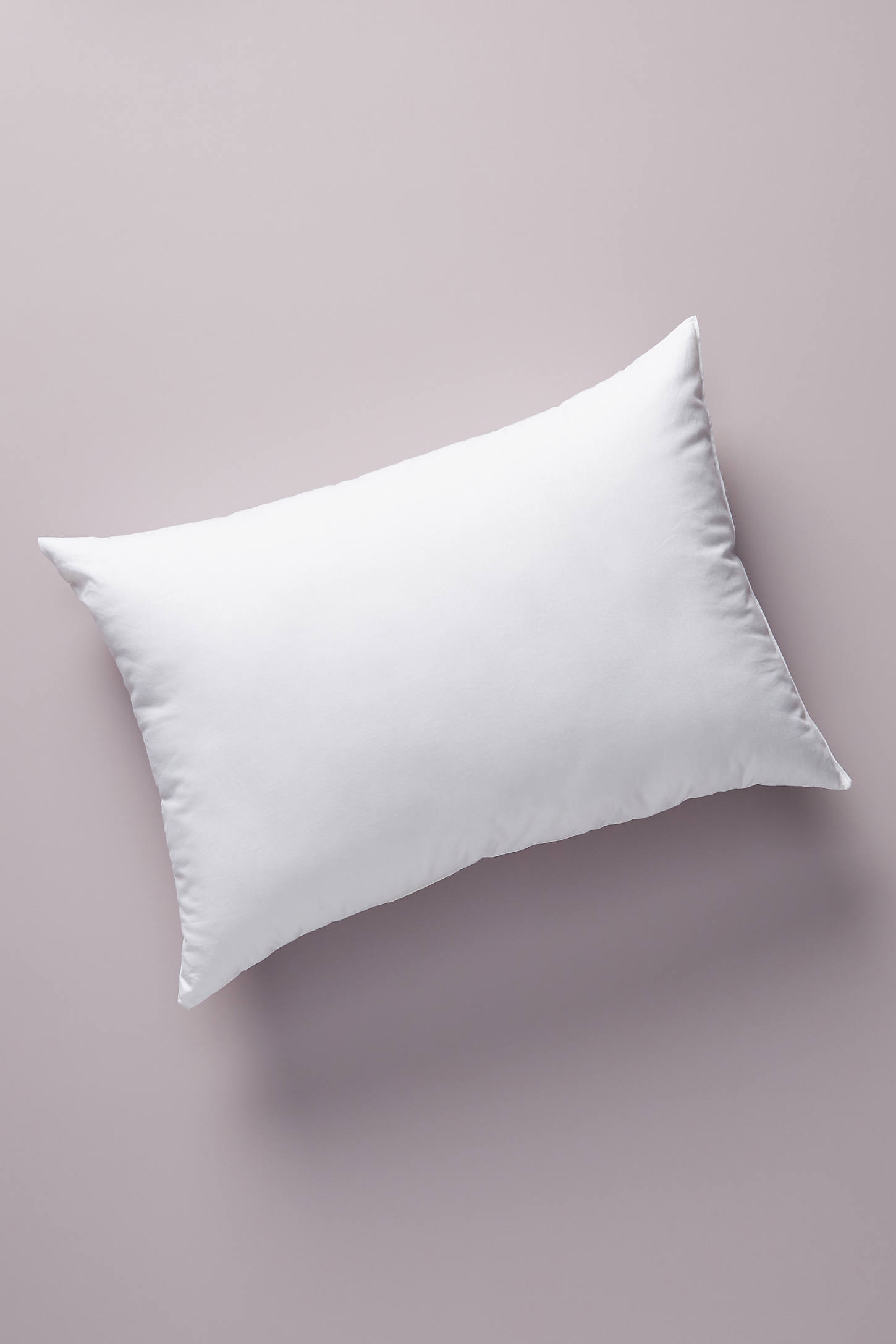 Decorative Pillow Insert - Image 0
