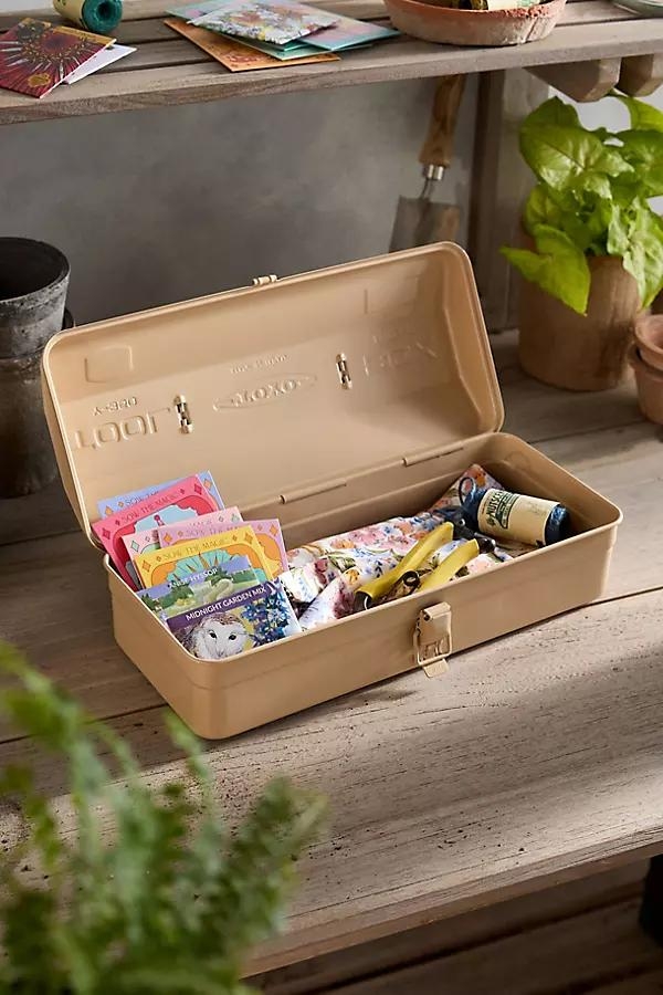 Toyo Steel Medium Seed Storage Box, Beige - Image 0
