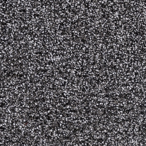 Croix Black Indoor 9' x 9' Handmade Rug - Image 0