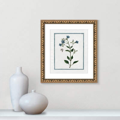 Shabby Chic Botanical II - Framed Art Full Bleed - Image 0