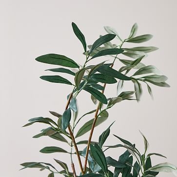 Olive Tree 5' & Small Fluted Planter Bundle - Image 1