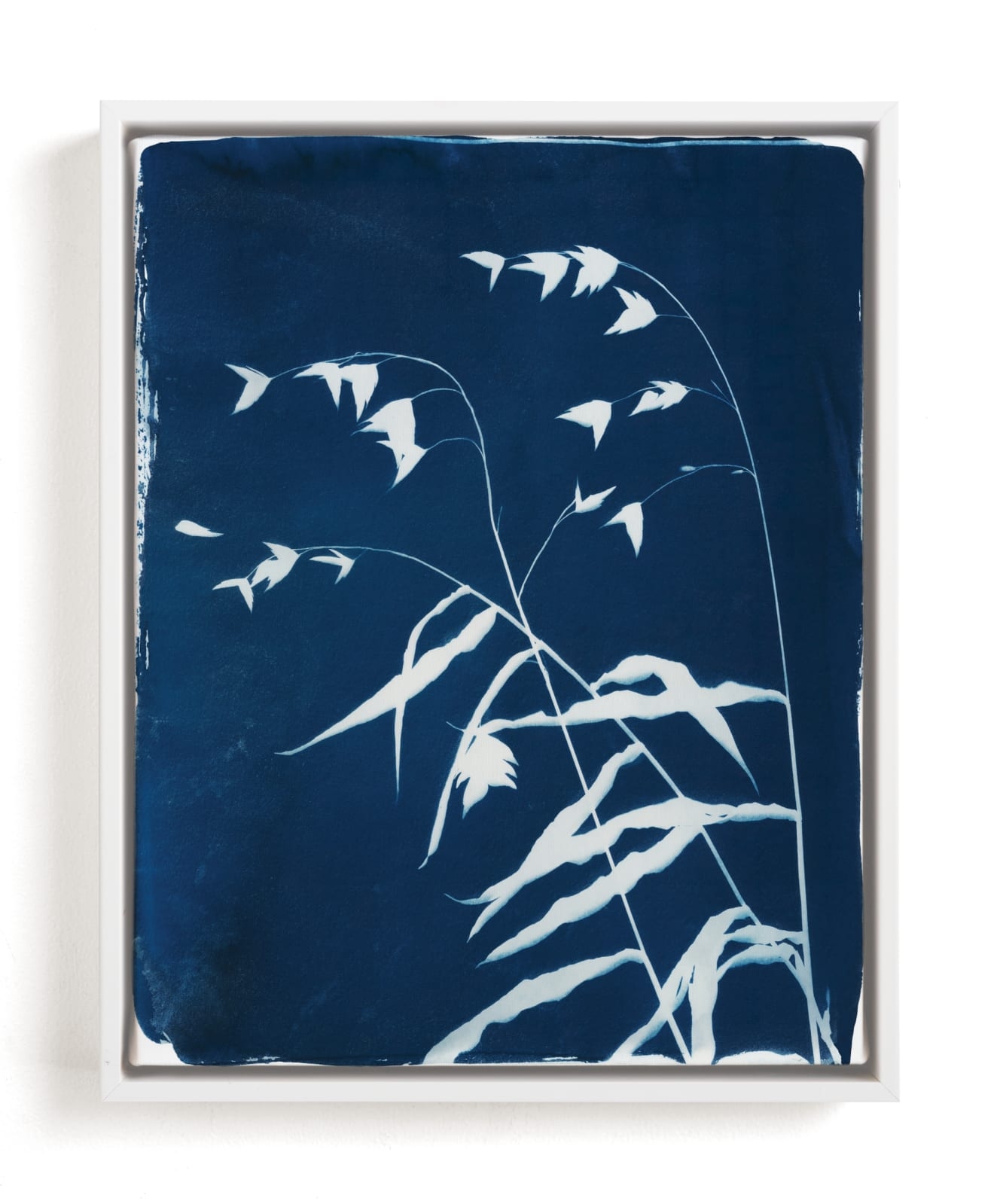 Sea Oats Cyanotype Limited Edition Fine Art Print 2 - Image 0