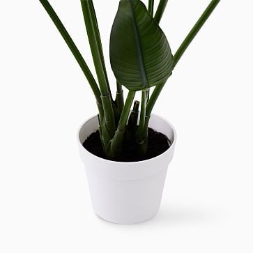 Faux Potted Bird of Paradise Plant, 4' - Image 3