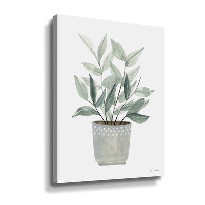 Sage Planter Gallery Wrapped Floater-Framed Canvas - Image 0