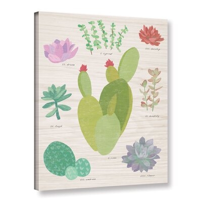 Succulent Chart III On Wood Gallery Wrapped Canvas - Image 0