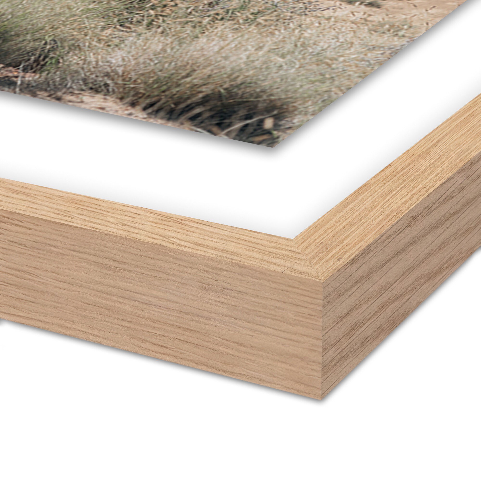 Ocotillo by Mandy Steinback - Vertical Grain 2.5 White Oak - Image 1