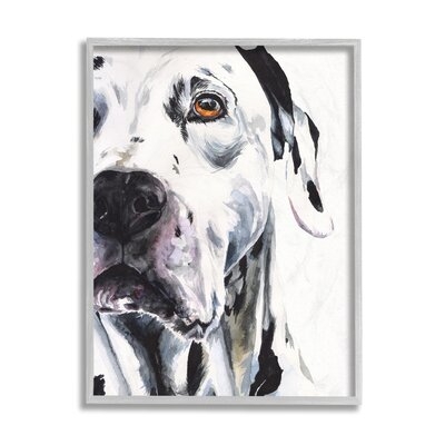 Dalmatian Pet Dog Portrait Bold Spotted Dog - Image 0