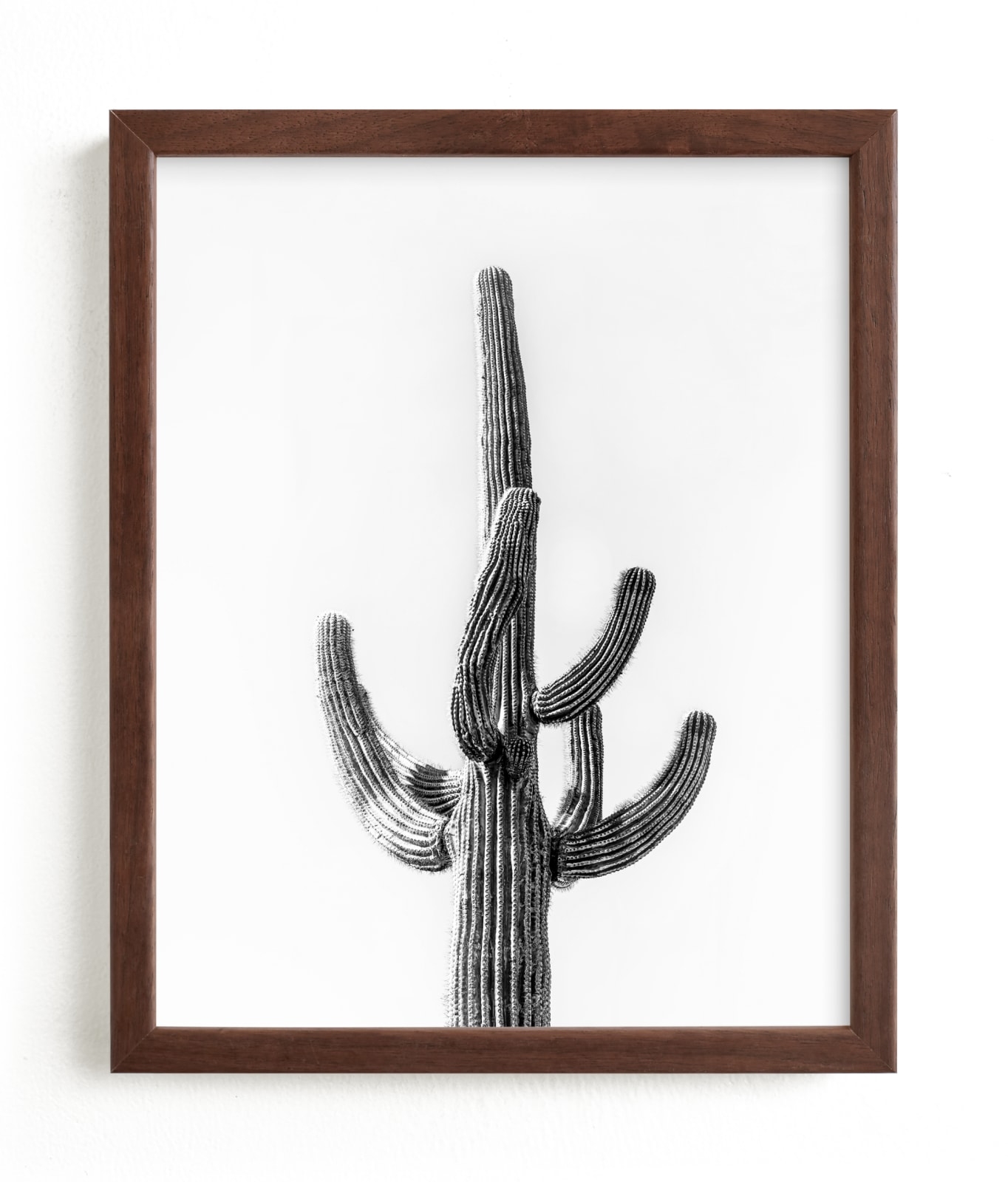Lone Cactus Limited Edition Fine Art Print 2 - Image 0