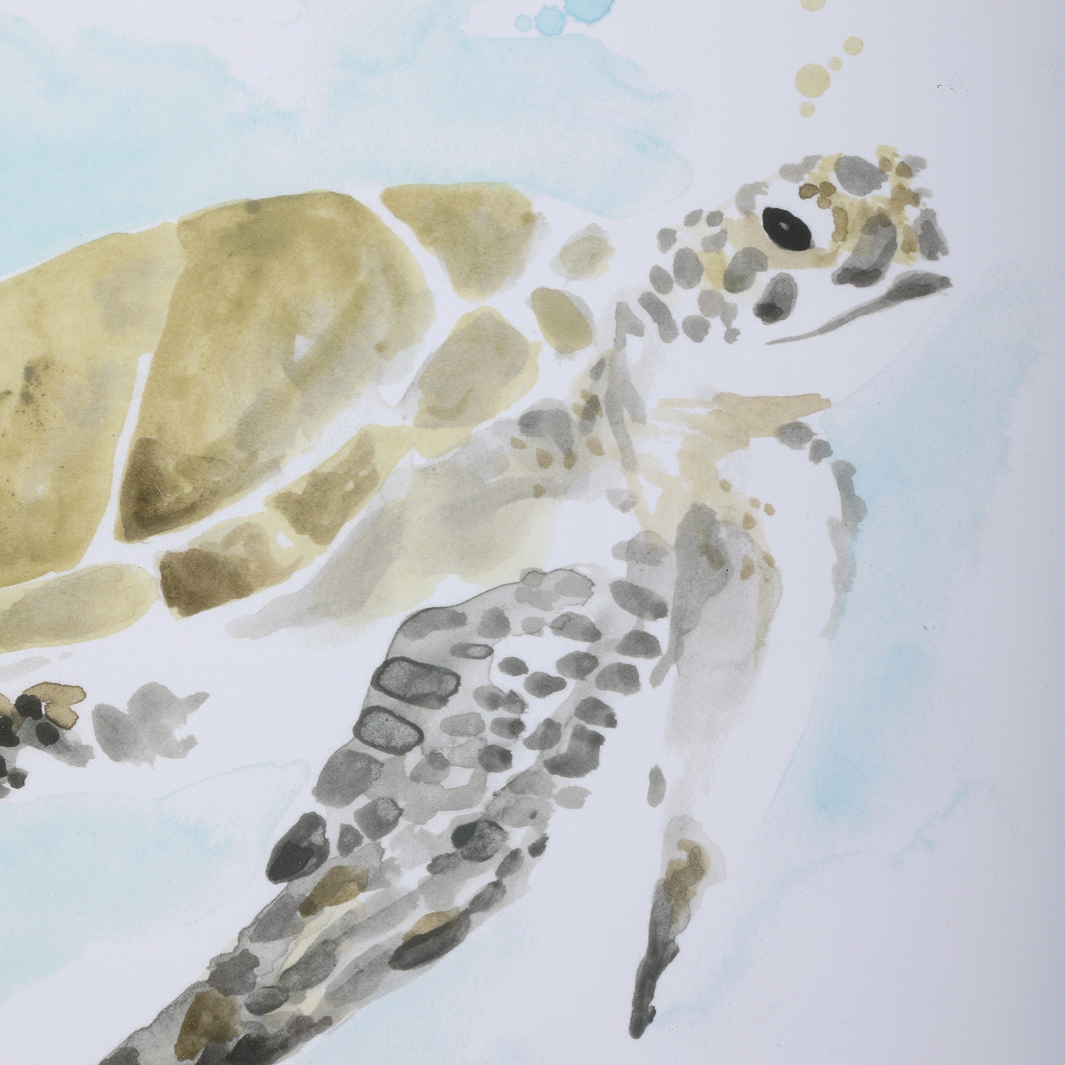 Sea Turtle Study Watercolor Prints, S/2 - Image 3