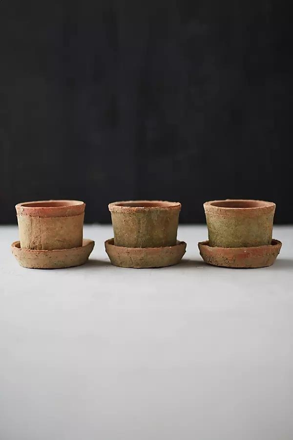 Earth Fired Clay Mini Pot + Saucer, Set of 3 - Image 0