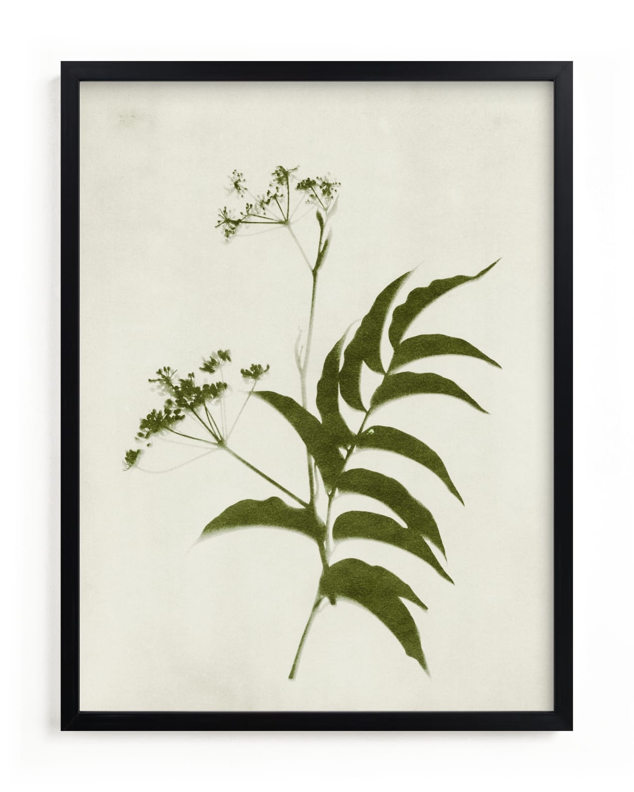 Foraged III Limited Edition Fine Art Print 2 - Image 0