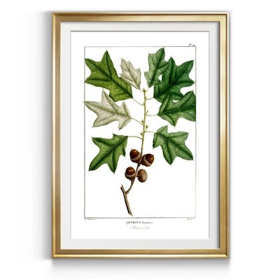 Bears Oak - Picture Frame Graphic Art Print on Paper - Image 0