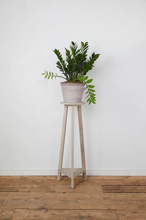Three Leg Plant Stand - Image 0