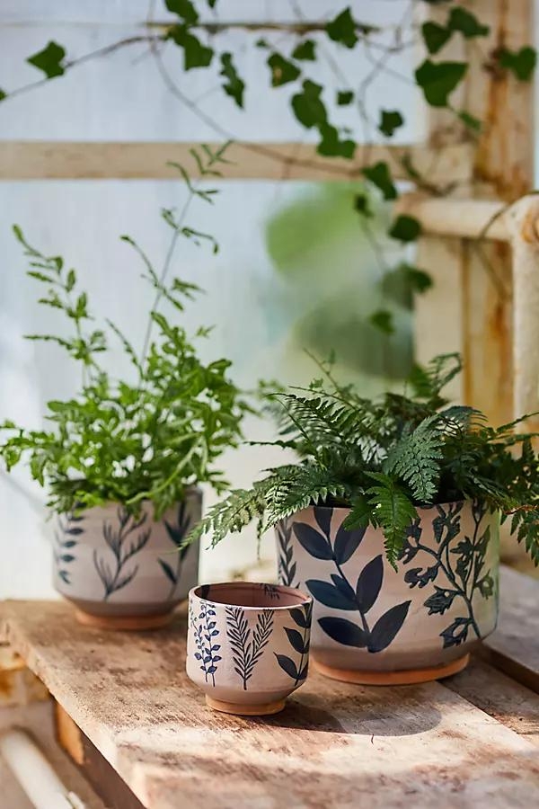 Ceramic Botanics Footed Planter - Image 0