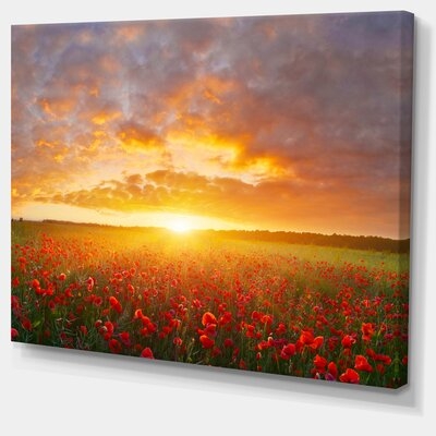 'Poppy Field Under Bright Sunset'Photograph - Image 0
