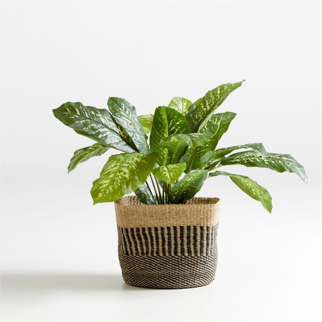34" Faux Dieffenbachia Plant - Image 0