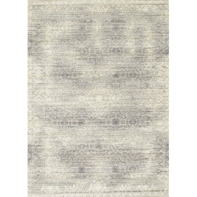 Oldenburg Oriental Gray/Off White Area Rug - Image 0