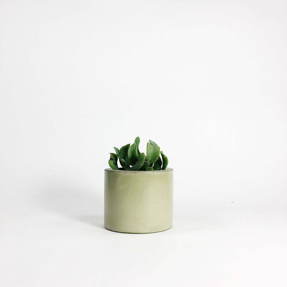 SETTLEWELL Concrete Vase, Sage - Image 0