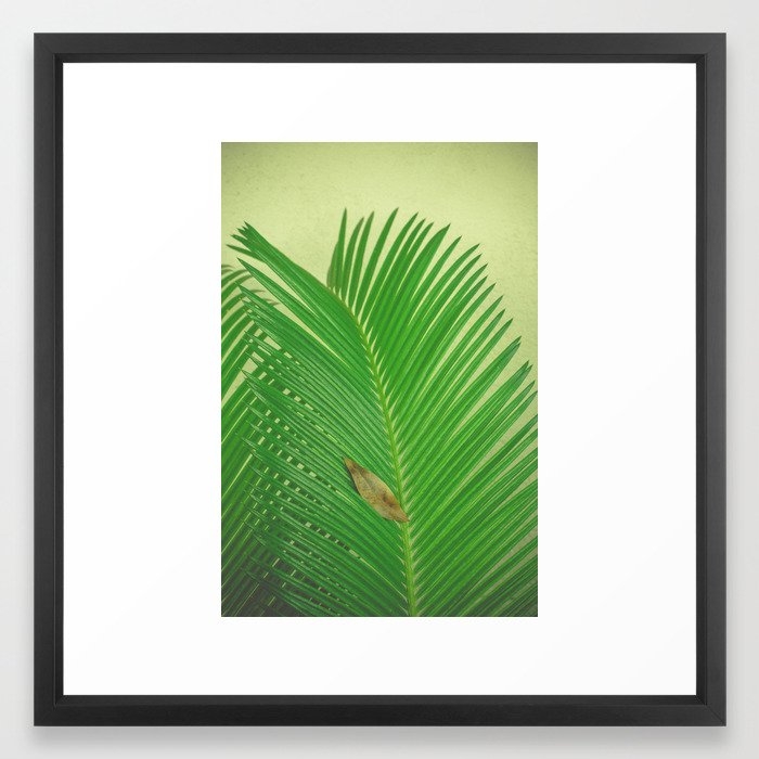 Tropical Framed Art Print by Olivia Joy St.claire - Cozy Home Decor, - Vector Black - MEDIUM (Gallery)-22x22 - Image 0