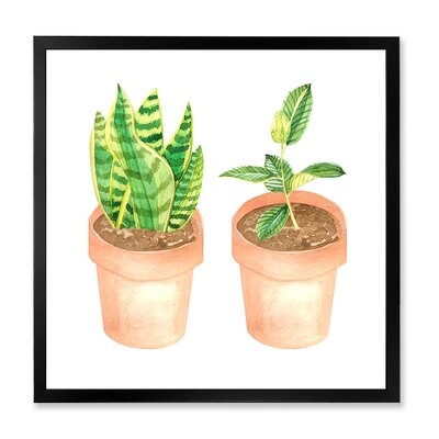 Sansevieria & Ficus Indoor Green Home House Plants - Traditional Canvas Wall Art Print FDP35490 - Image 0