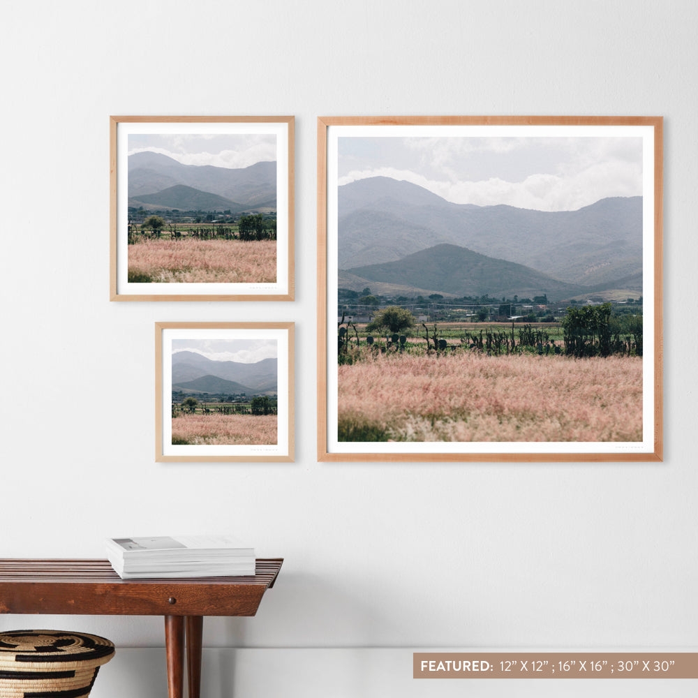 The Citizenry Oaxaca .02 Wall Art | 16" x 16" | White - Image 7