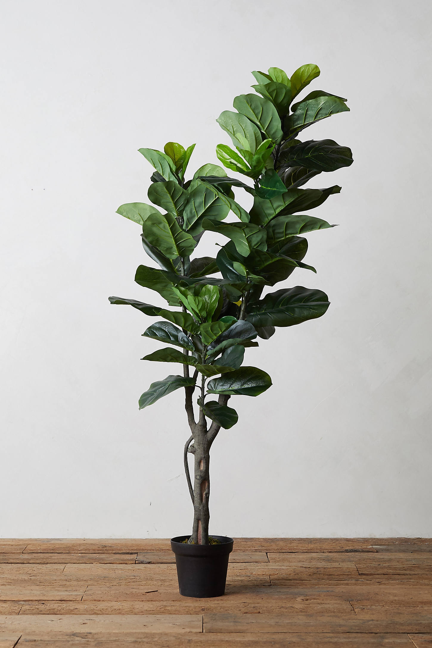 Faux Fiddle Leaf Fig Tree, 5' By Terrain in Assorted - Image 0