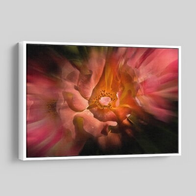 'Backyard Flowers 40 ' - Photographic Print On Wrapped Canvas - Image 0