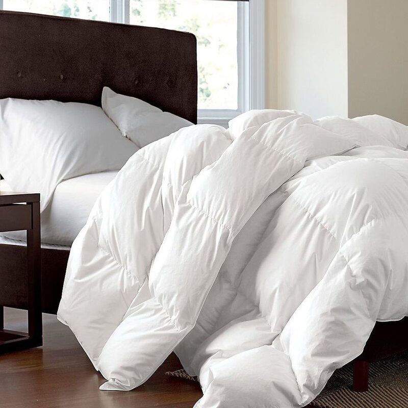 Simply Down Canadian Dream Lightweight Winter Down Comforter Bed Size: Twin - Image 0
