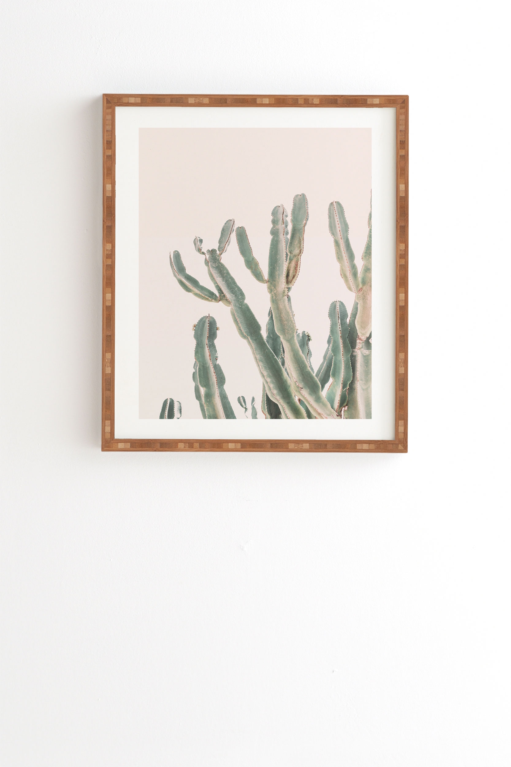 Sunrise Cactus by Sisi and Seb - Framed Wall Art Bamboo 30" x 30" - Image 1