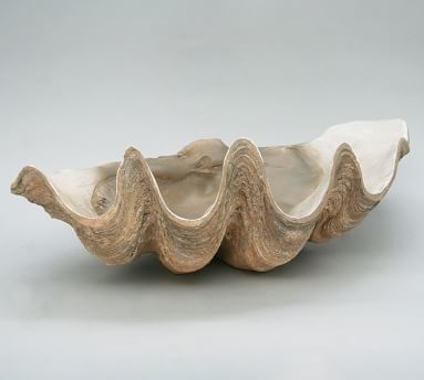 Fossilized Clam Decorative Object - Image 1