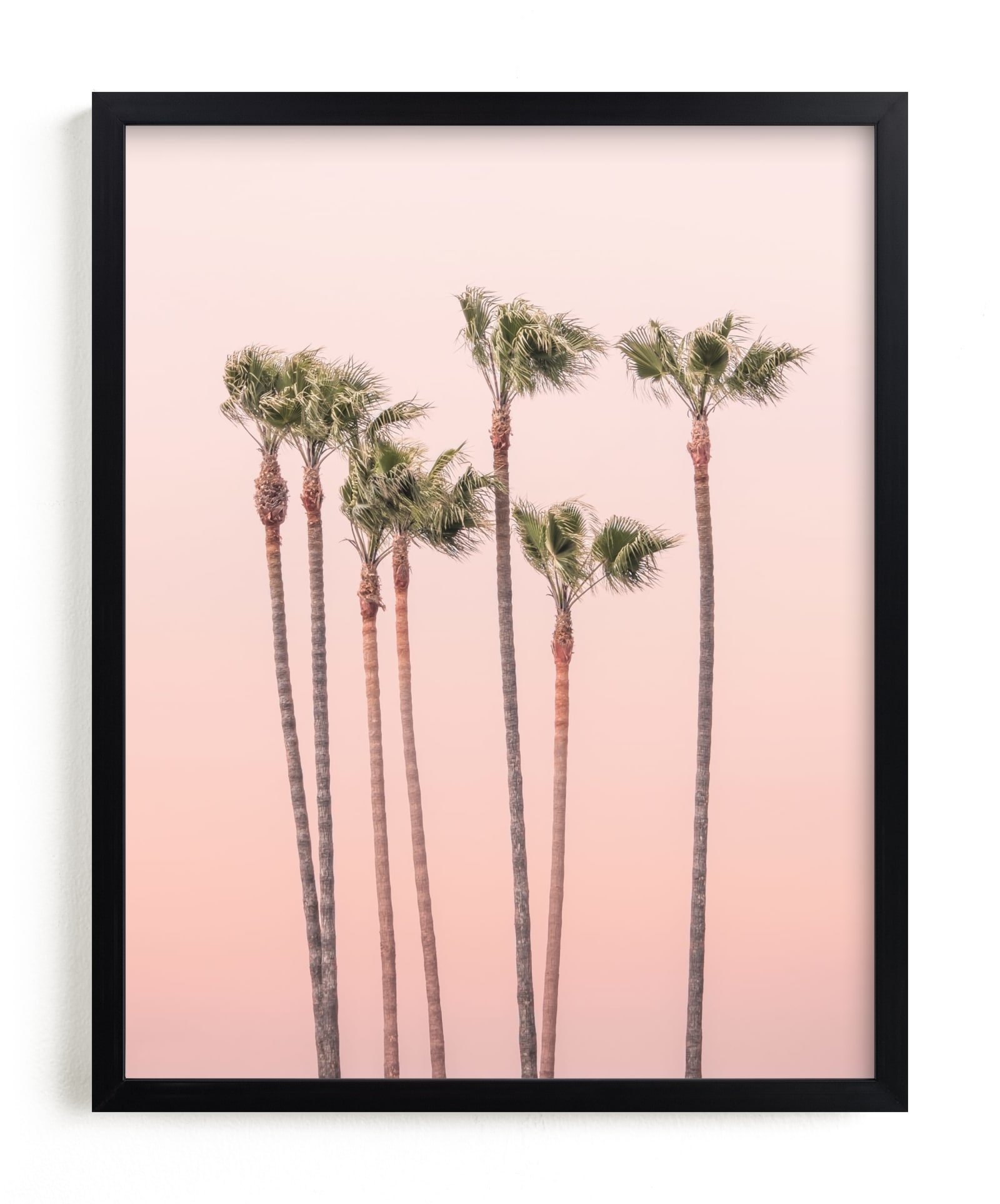 Seven Palmtrees Open Edition Fine Art Print - Image 0