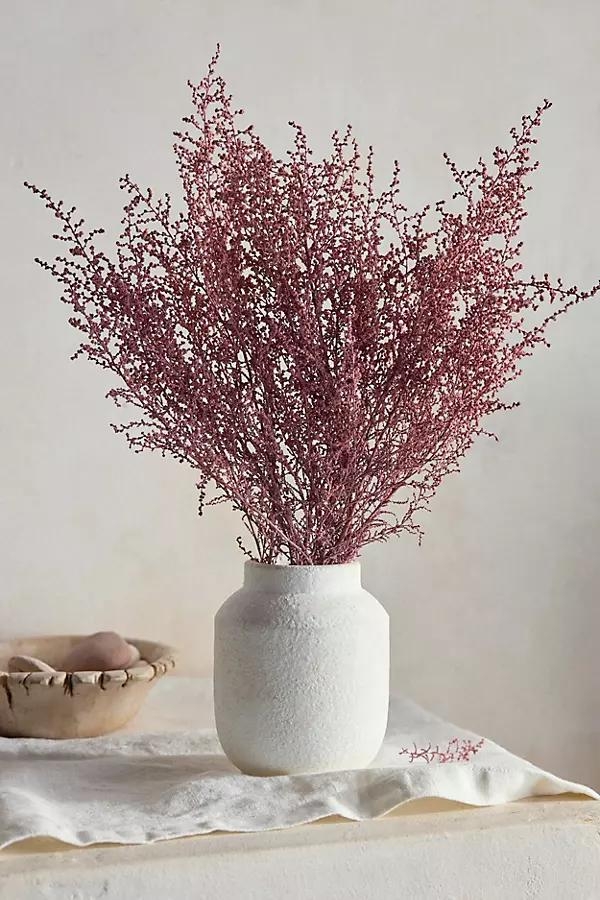 Preserved Stoebe Bunch - Image 0