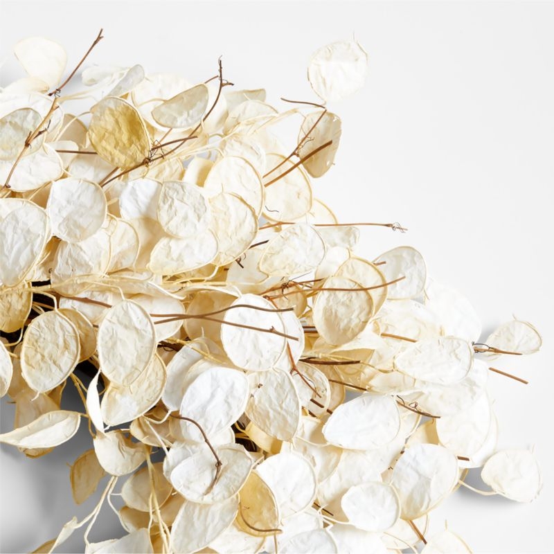 Faux Cream Lunaria Wreath 32" - Image 1