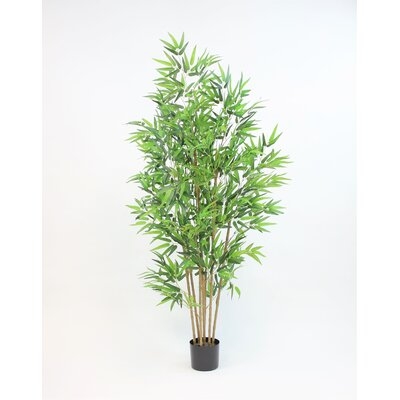 Bamboo Tree - 82 Inches - Image 0