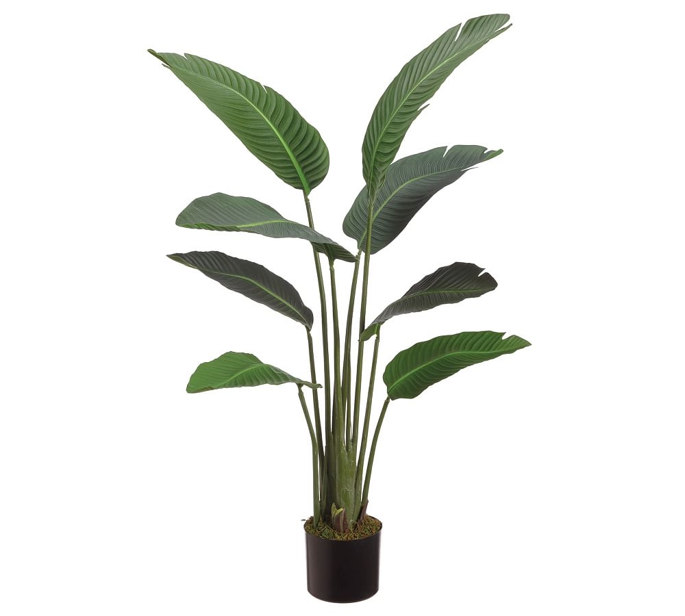 Faux Bird Of Paradise Plant With 12 Leaves, 6.25' - Image 0